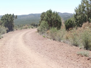 Javelina Trail, looking towards the Bradshaw Mountains, Prescott